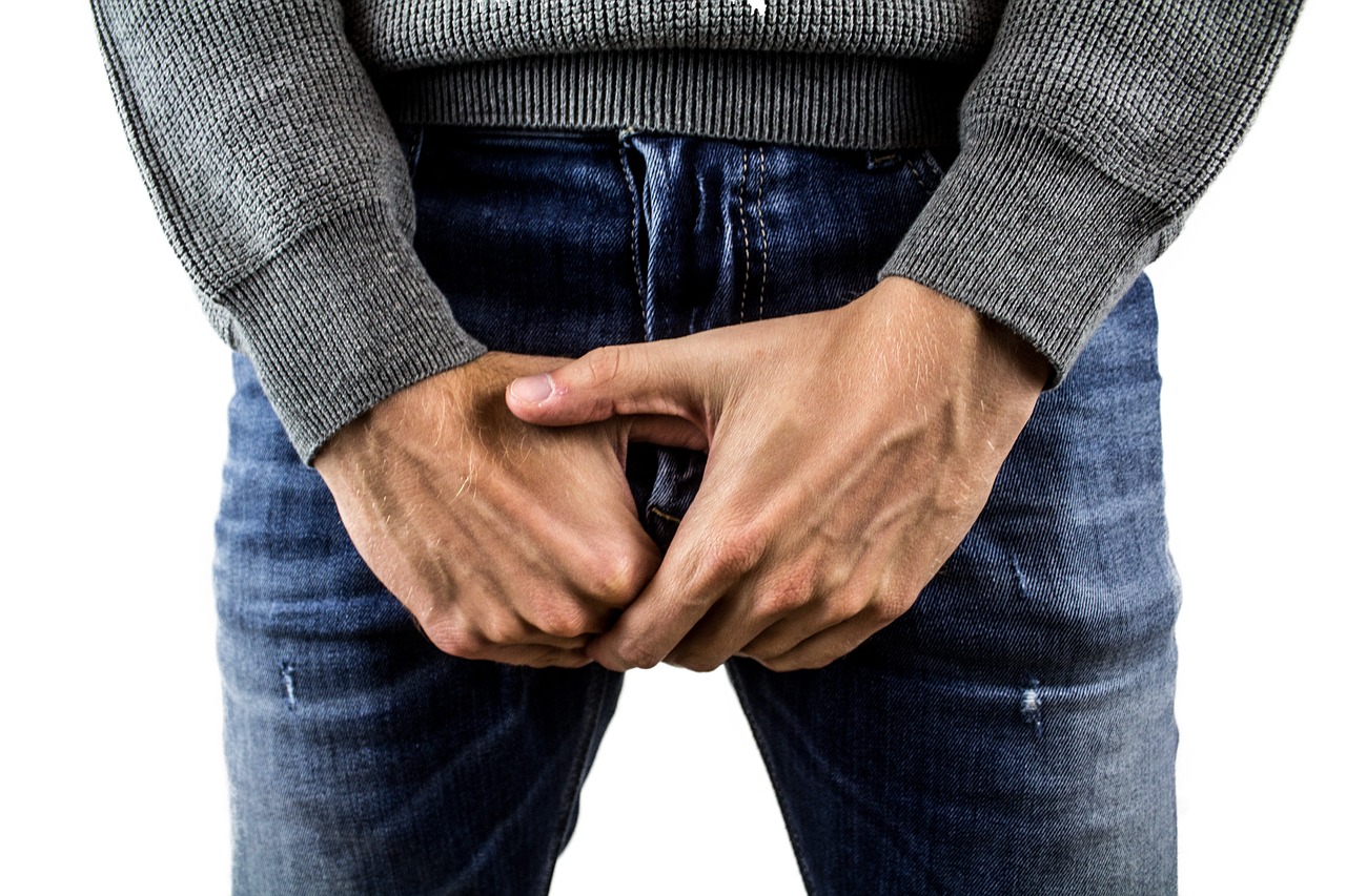 testicles