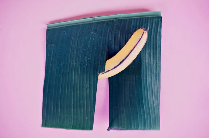 penis